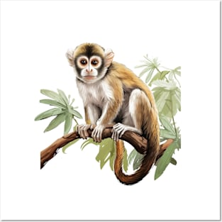 Squirrel Monkey Posters and Art